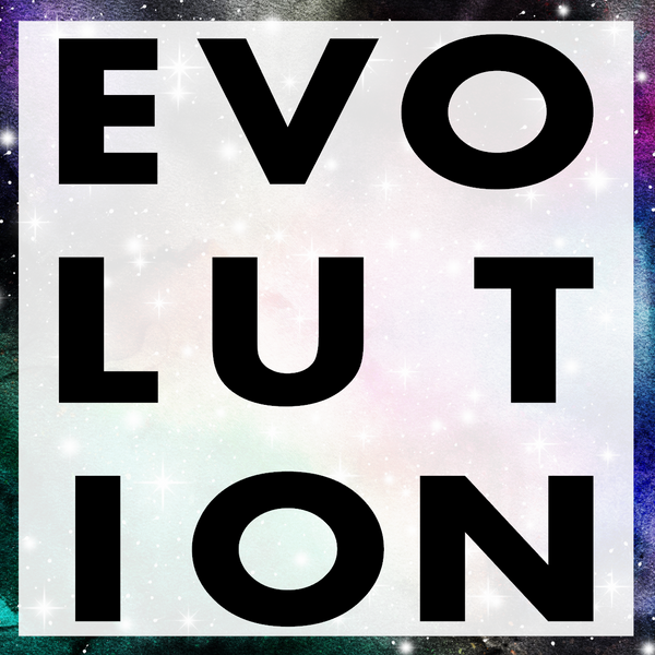 E V O L U T I O N