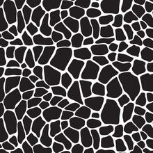 ANIMAL PRINTS