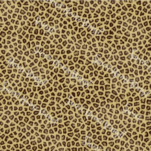 ANIMAL PRINTS