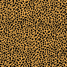 ANIMAL PRINTS