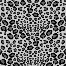 ANIMAL PRINTS